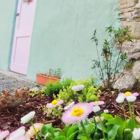 Unboring Let, Ballina, Mayo Ballina