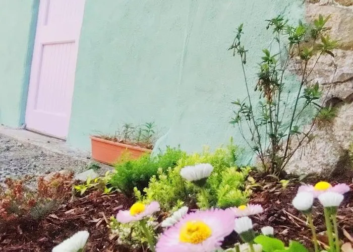 Unboring Let, Ballina, Mayo Баллина